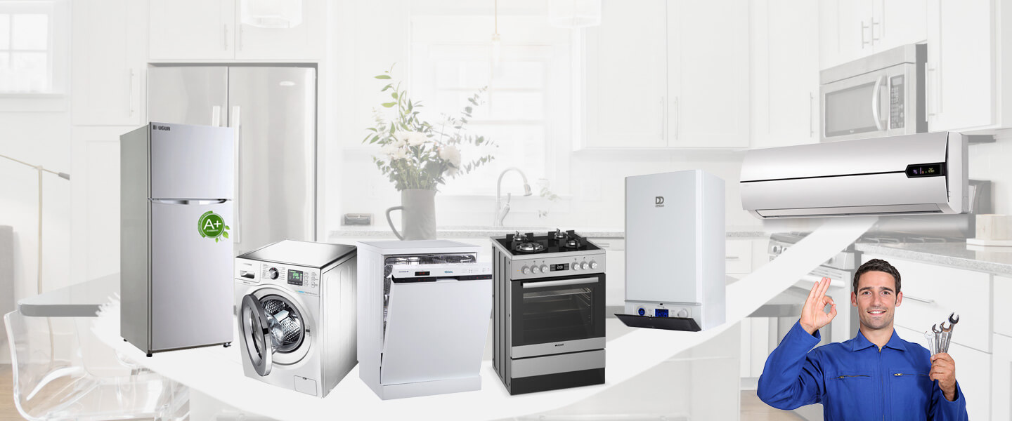Kiğı Smeg Servisi